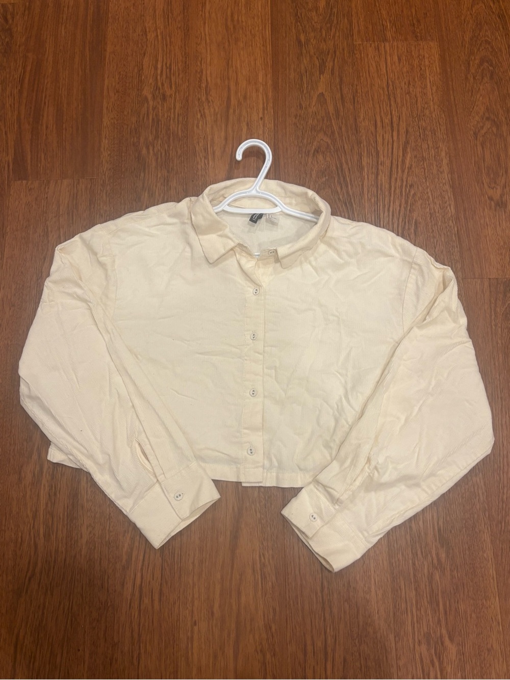 Divided Cropped Button-Down Shirt in Cream